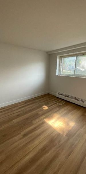 5 1/2 RÉNOVÉ À 1495$/MOIS | LONGUEUIL - Photo 1