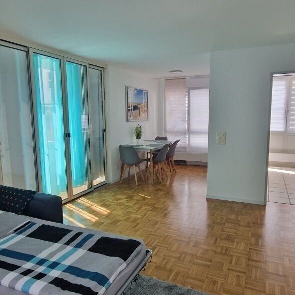 APPARTEMENT DE 2 PIÈCES À LANGWIESEN (ZH), MEUBLÉ, TEMPORAIRE - Foto 1