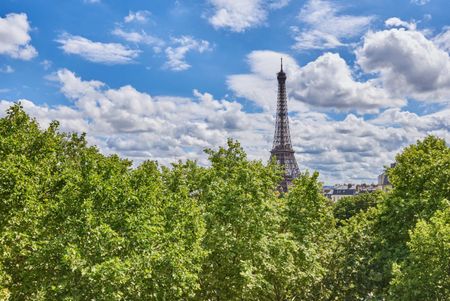 Appartement • Chaillot - Photo 3