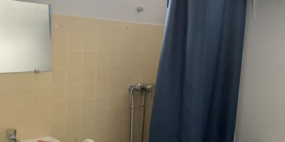 Location Appartement 1 pièce 15m² GRENOBLE 38000 - Photo 3
