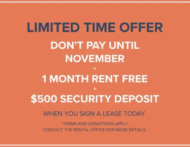 Dolphin Square Apartments | 8200 Park Road, Richmond - Photo 1