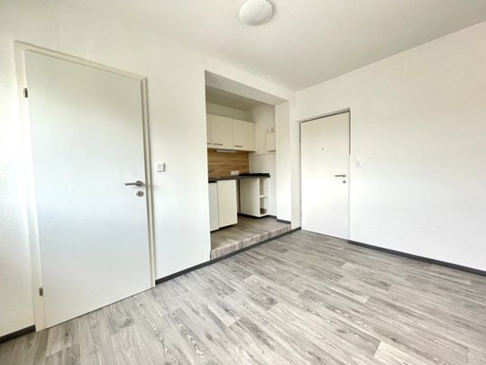 Günstige Kleinwohnung mit Parkplatz & Gartennutzung - Foto 1