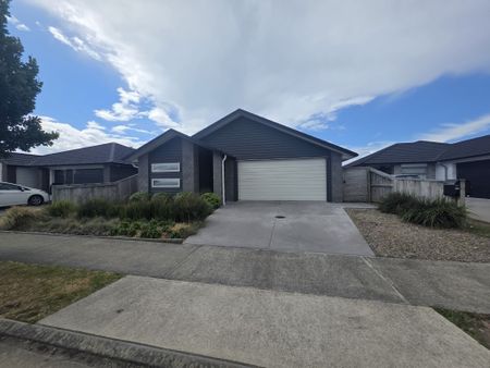 Dive into Dunkeld - Papamoa - Photo 2