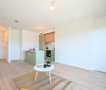 Appartement in Deinze - Photo 1