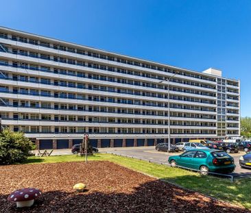 Gildemeestersplein - Foto 6