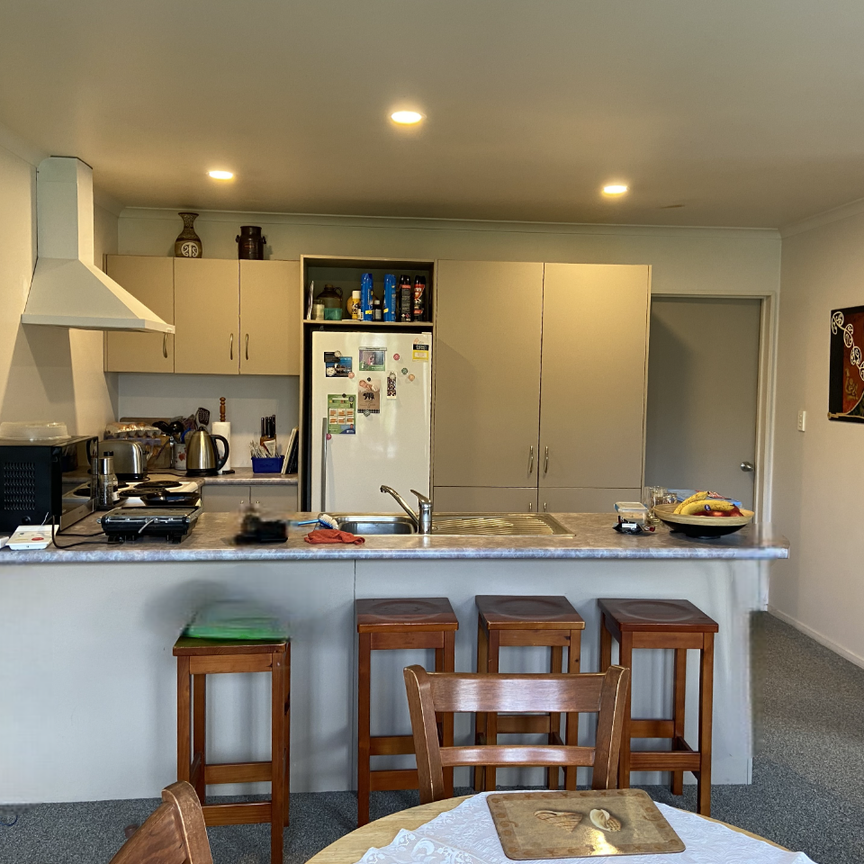 50a Te Aroha Street - Photo 1