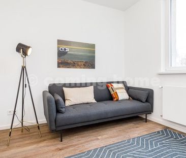 Berlin Styling-Star - Photo 1