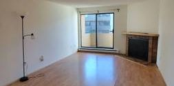 Richmond Spacious Newly Reno One Bedroom/One Bath Apartment for Rent - Photo 2