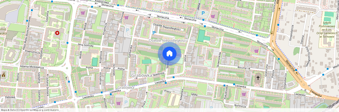 Spadzista, województwo małopolskie, Grabówka, 33-106, Tarnów