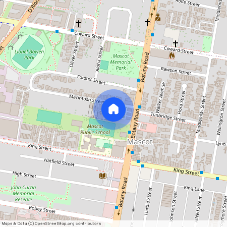 17/8 MacIntosh Street Mascot