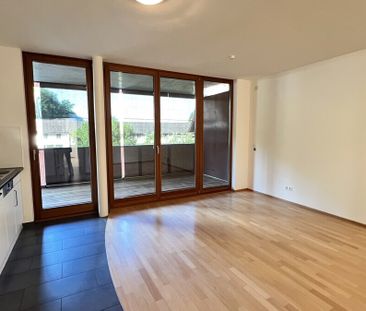 Hübsche 3-Zimmer-Wohnung mit südlicher Sonnenterrasse - Foto 1