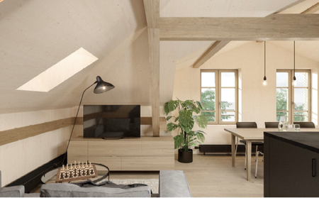 Top moderene Dachwohnung im Loftstyle zu vermieten - Foto 5