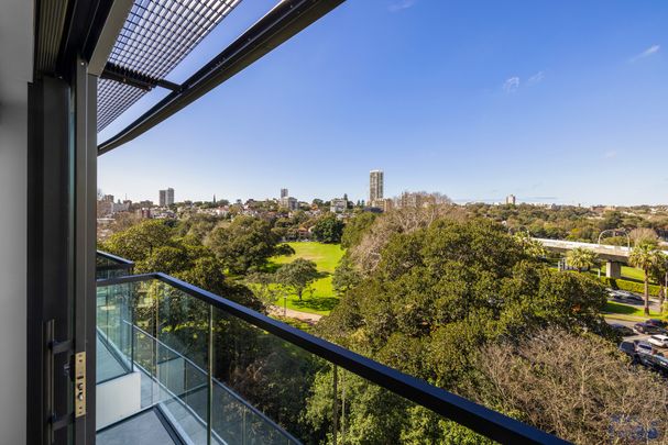 504/100 Bayswater Road, Rushcutters Bay NSW 2011 - Apartment For Rent | Domain - Photo 1