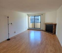 Richmond Spacious Newly Reno One Bedroom/One Bath Apartment for Rent - Photo 2