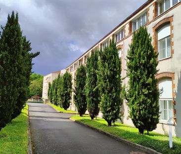 Location Appartement 1 pièce 26m² VERTOU 44120 - Photo 5