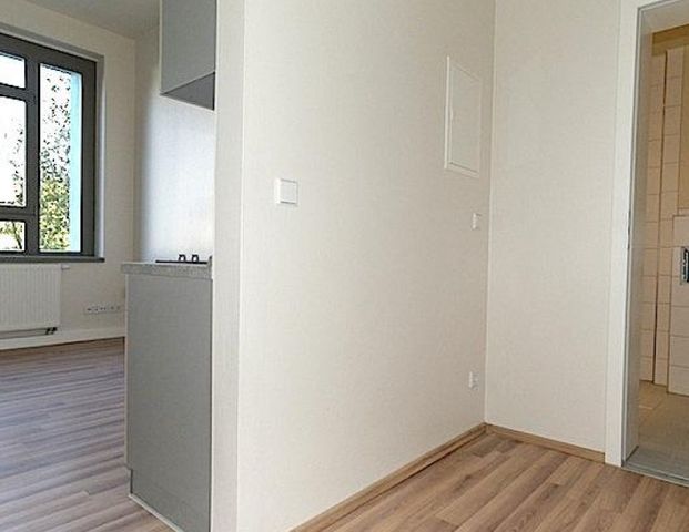 gz-i.de:Apartment für Studenten u. Azubis in direkter Uninähe mit Küche! - Photo 1