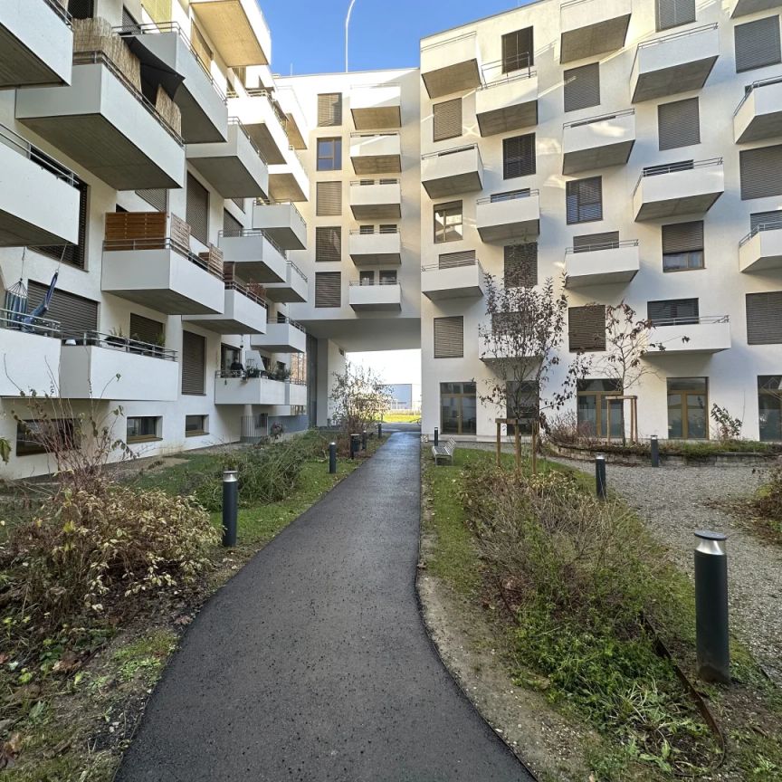 AKTION 1 MONAT MIETZINSFREI! - URBAN GARDENING IM NEUEN VIERTEL REININGHAUS - Foto 1