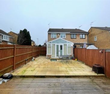 Coltsfoot green - Photo 3