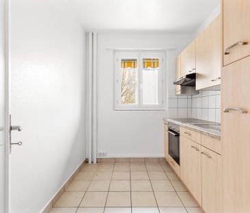 3 Zimmer, 43 m², 5. Stock - Foto 3