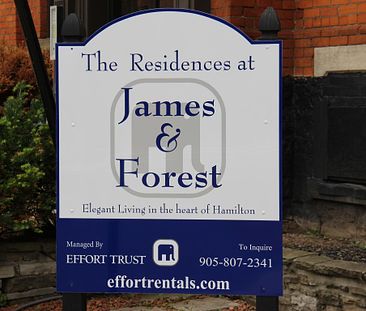 James & Forest Apartments - Bldg #209 - Photo 2