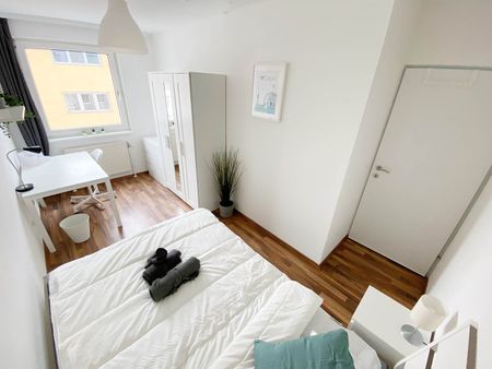 Sonnleithnergasse Top 209 Zimmer 1 - Photo 3