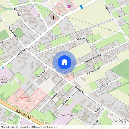 Głogowo, Obrowo, toruński, kujawsko-pomorskie, Brzozówka