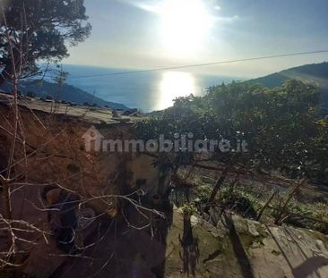Trilocale Drignana, Vernazza - Photo 4