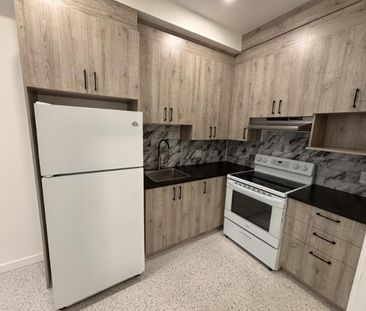 1 1/2 - Montréal (Saint-Henri) - 875 $/mois - Photo 4