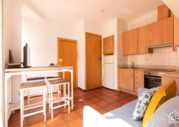 Cozy apartment right by the Barceloneta beach