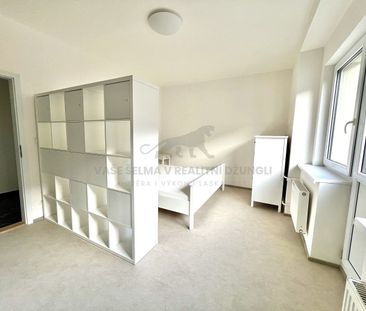 Pronájem bytu 1+1 29 m² - Photo 5