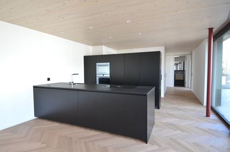 ERSTVERMIETUNG nach Aufstockung: Modernes Wohnen über den Dächern Zürichs - Photo 5