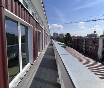 Erstbezug durch Aufstockung! - Helle 2-Zimmer-Wohnung mit Terrasse - Photo 4