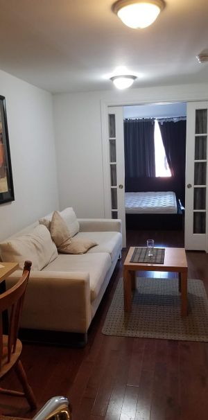 1 CH - 1 SDB - Montréal - $1,150 /mo - Photo 1