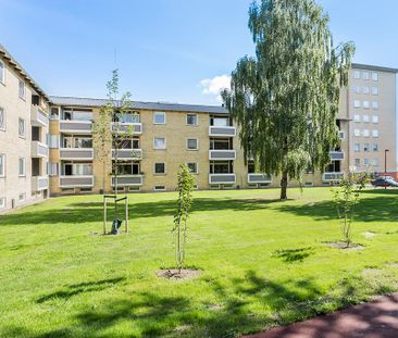 Afd. 24 Ungskuepladsen - Photo 3