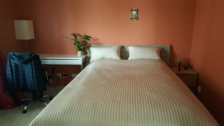 Signe Tillischgatan, Solna - Photo 3