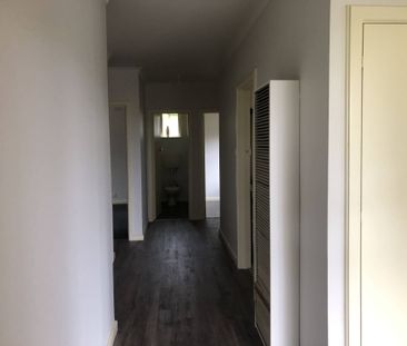 PERFECT FAMILY HOME WALK TO TOWN - Photo 1