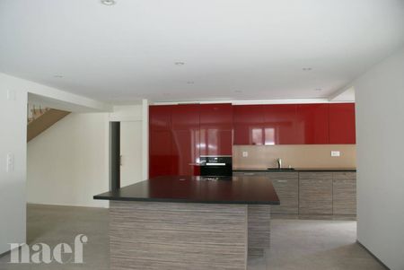 Splendide maison moderne de 8 pièces avec un grand jardin à Colombier - Foto 4