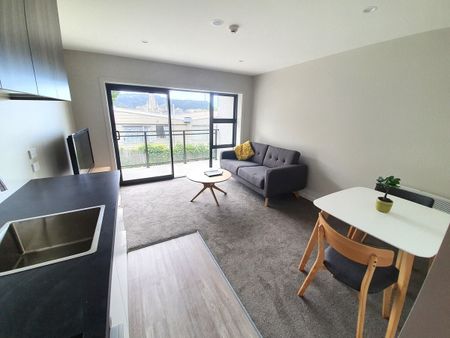 17/23 London Street, Dunedin North, Dunedin City - Photo 3