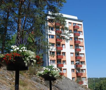 Tureborgsvägen 20 - Photo 1