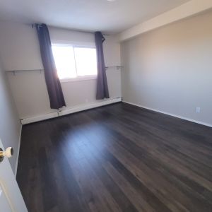 1 Bedroom Apartment w/ In-Suite Laundry!!! - Photo 2