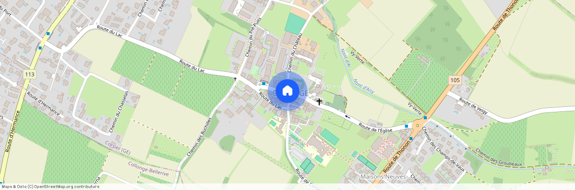 20 Chemin Neuf, 1246 Corsier GE