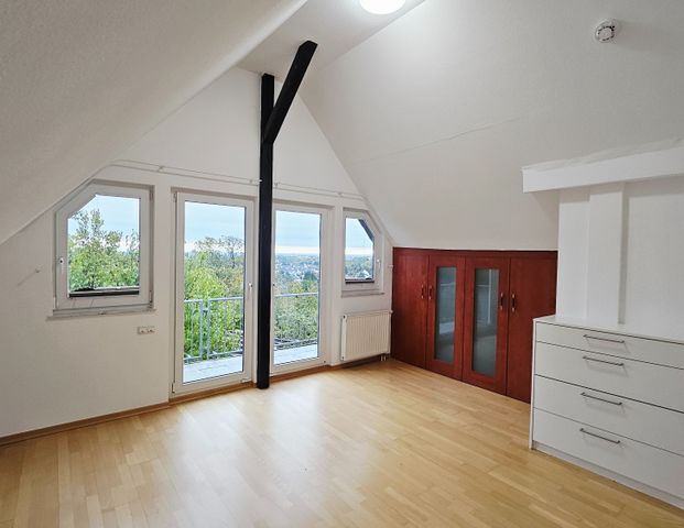 Schuch Immobilien – Exklusives Einfamilienhaus mit parkähnlichem Grundstück - Foto 1