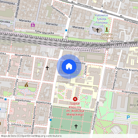 ul. ks. Józefa Szafranka, Śródmieście, Katowice, śląskie