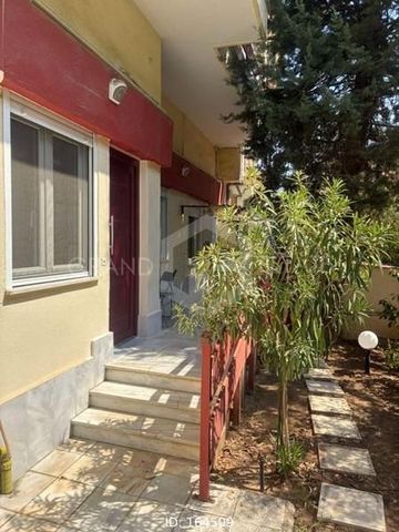Διαμέρισμα για ενοικίαση Μαλακοπή (Τούμπα) - Φωτογραφία 3