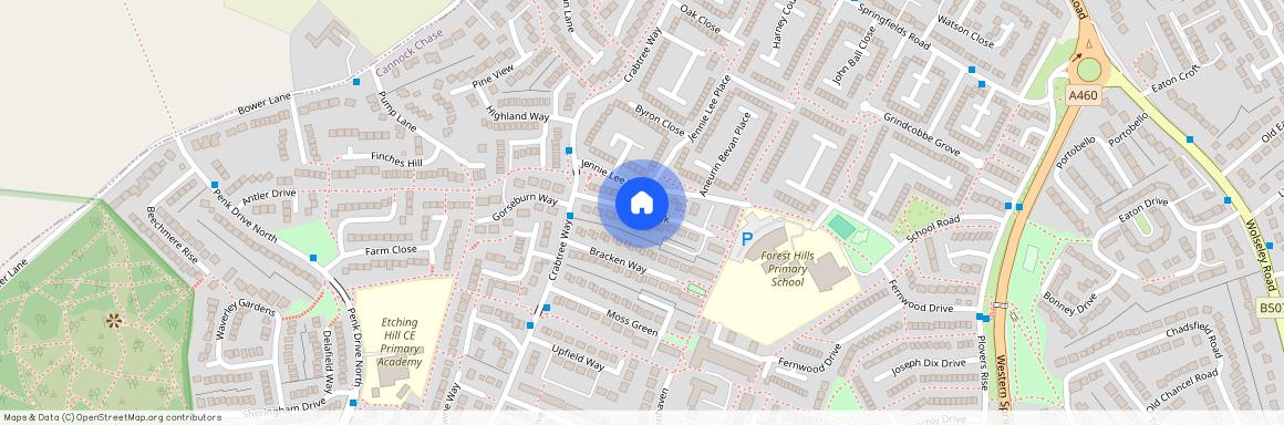 Catkin Walk, Rugeley