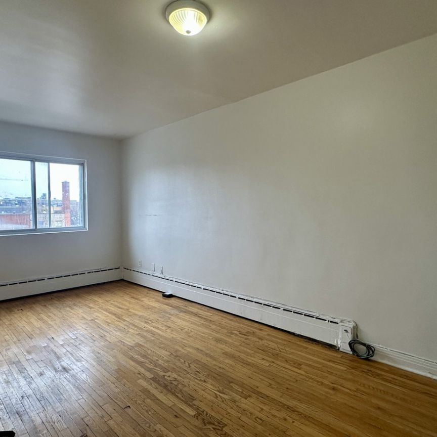 NDG : Studio lumineux et rénové de 300 pc, offert en location semi-meublé ! - Photo 1