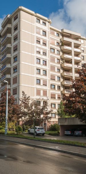 Quartier calme – CDD jusqu’au 31.03.2028 - Photo 1