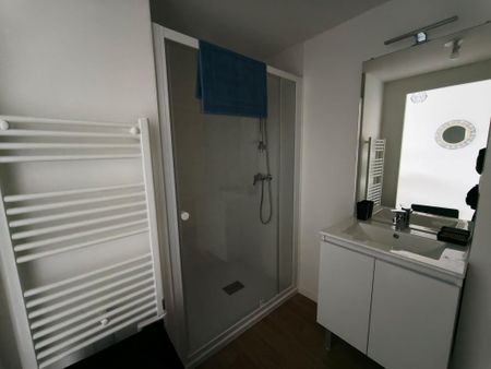 Location Appartement 1 pièce Meublé 17m² NANTES 44300 - Photo 4