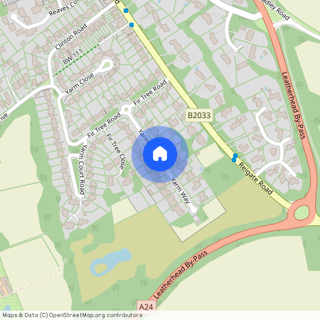 Leatherhead
