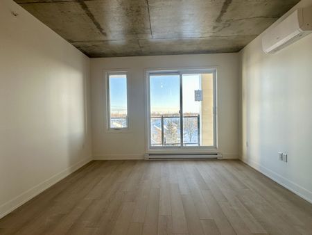 30 Avenue Joseph Lafléche, #502 - Photo 5